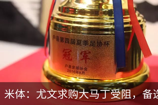 米体：尤文求购大马丁受阻，备选维卡里奥并获推荐阿图博卢